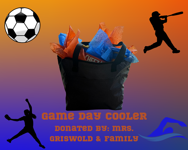 Item Image for Jesup Elementary Playground Fundraiser