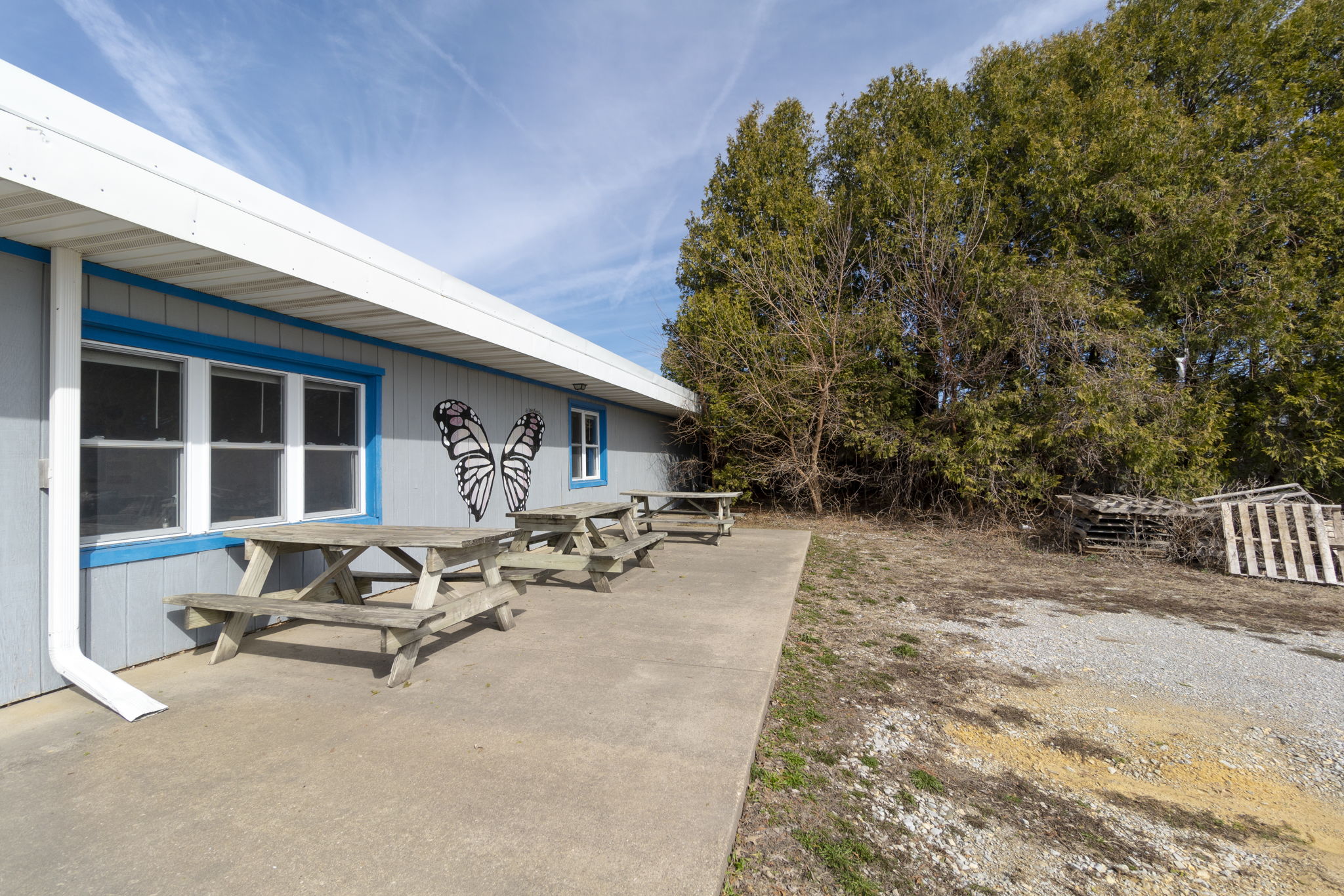 Item Image for The Dairy Kone