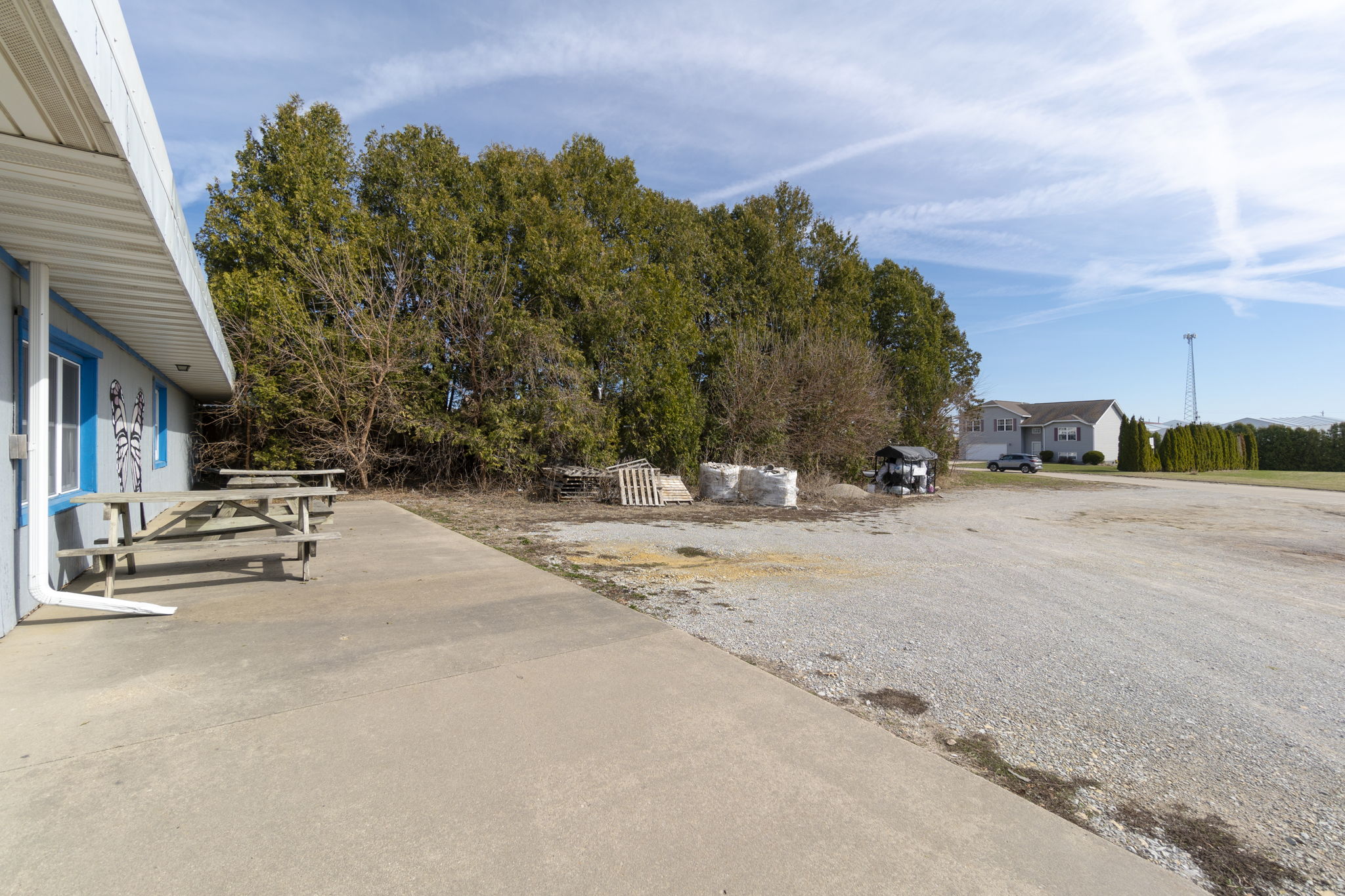 Item Image for The Dairy Kone