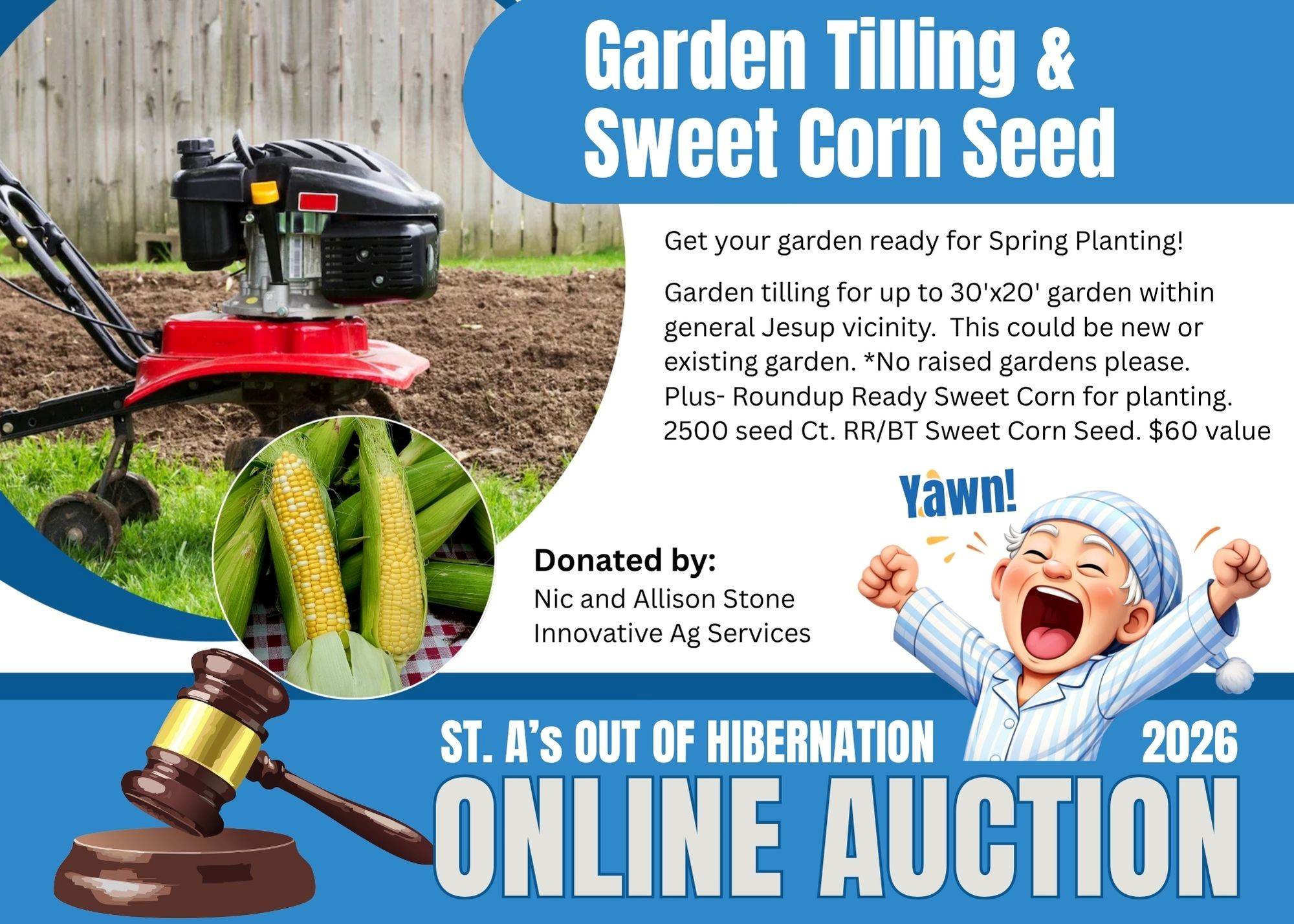 Item Image for Benefit Auction