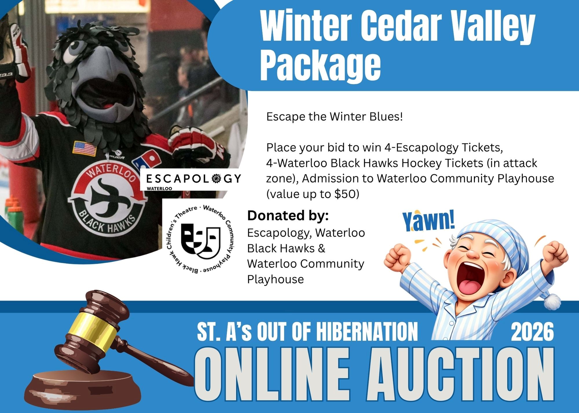 Item Image for Benefit Auction