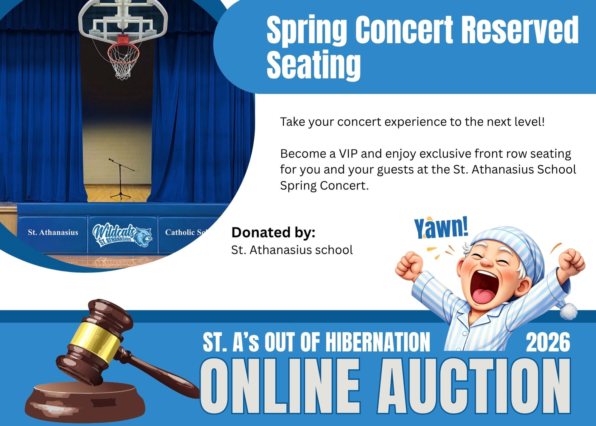 Item Image for Benefit Auction