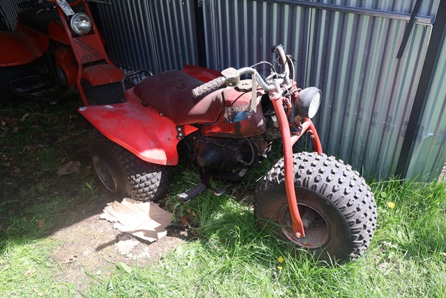 Item Image for 