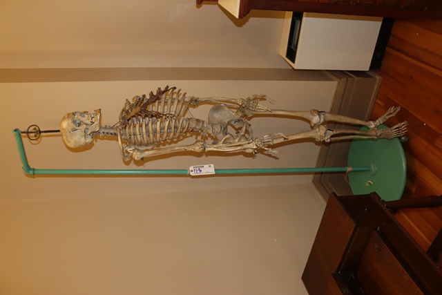 Item Image for Museum Pieces - Band, Books, Furniture, Toys & More