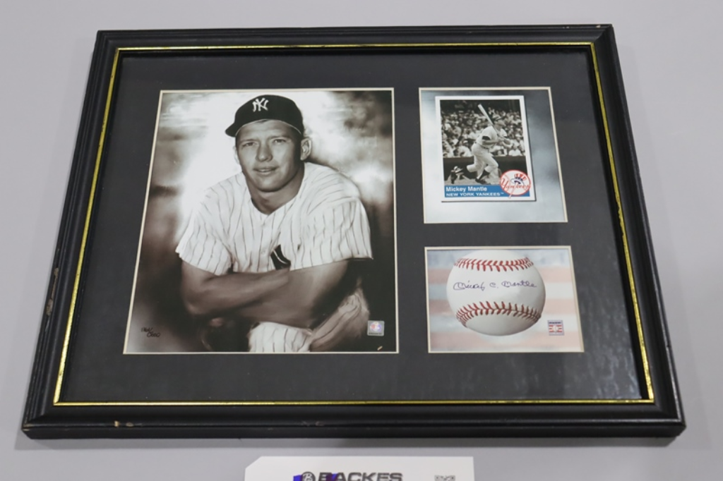 Framed Ron Santo Chicago Cubs Autographed 8 x 10 Batting Stance Photgraph  - JSA