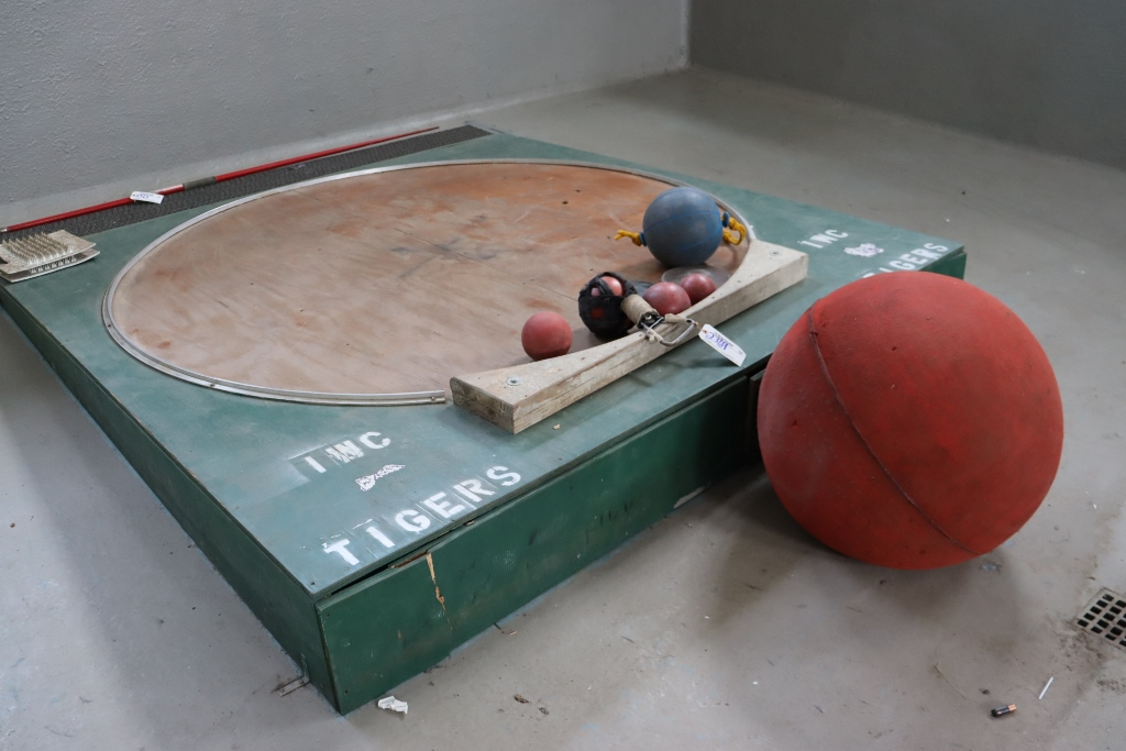 Item Image for Shop - Vehicles - Old Gym/Baseball/Football Lockers - 2005 Dormitory