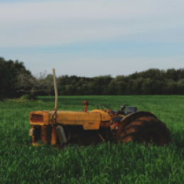 Auctions 101 Tips For Buyers And Sellers Backes Auctioneers