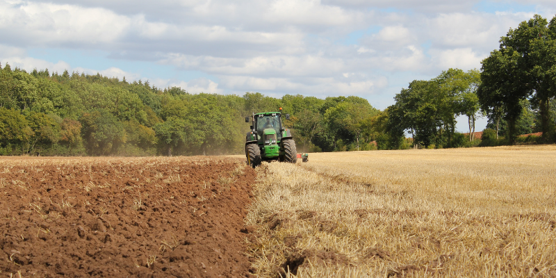 Image for Why Your Business Should Purchase Used Equipment at an Auction