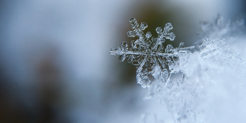 Image for Why Winter is the Perfect Time for Your Auction
